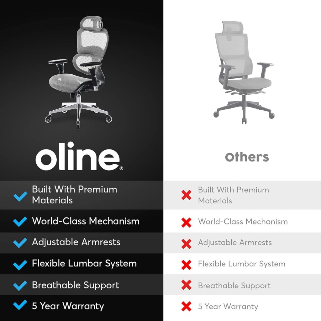 Oline ErgoPro Ergonomic Office Chair, Rolling Desk Chair with 4D Adjustable Armrest, 3D Lumbar Support, Blade Wheels, Mesh Computer Gaming Executive Swivel Chairs Chair (Black)